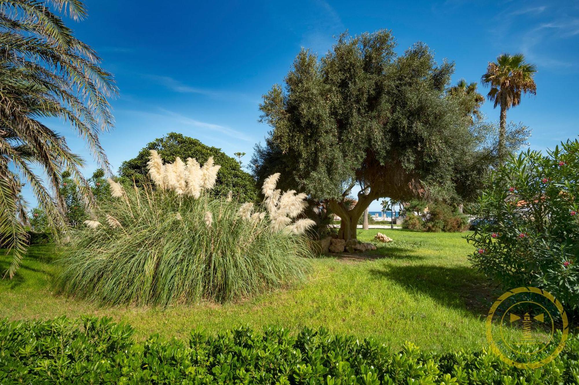 Lighthouse Dunamar La Mata  Ngoại thất bức ảnh